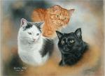 cat trio