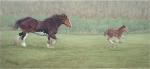 The Chase!