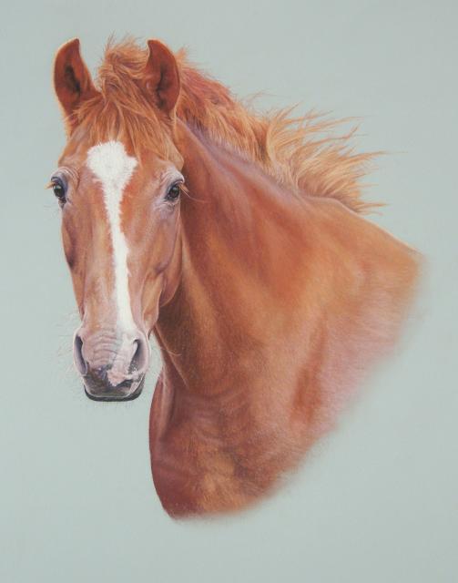 pastel portrait of Cae