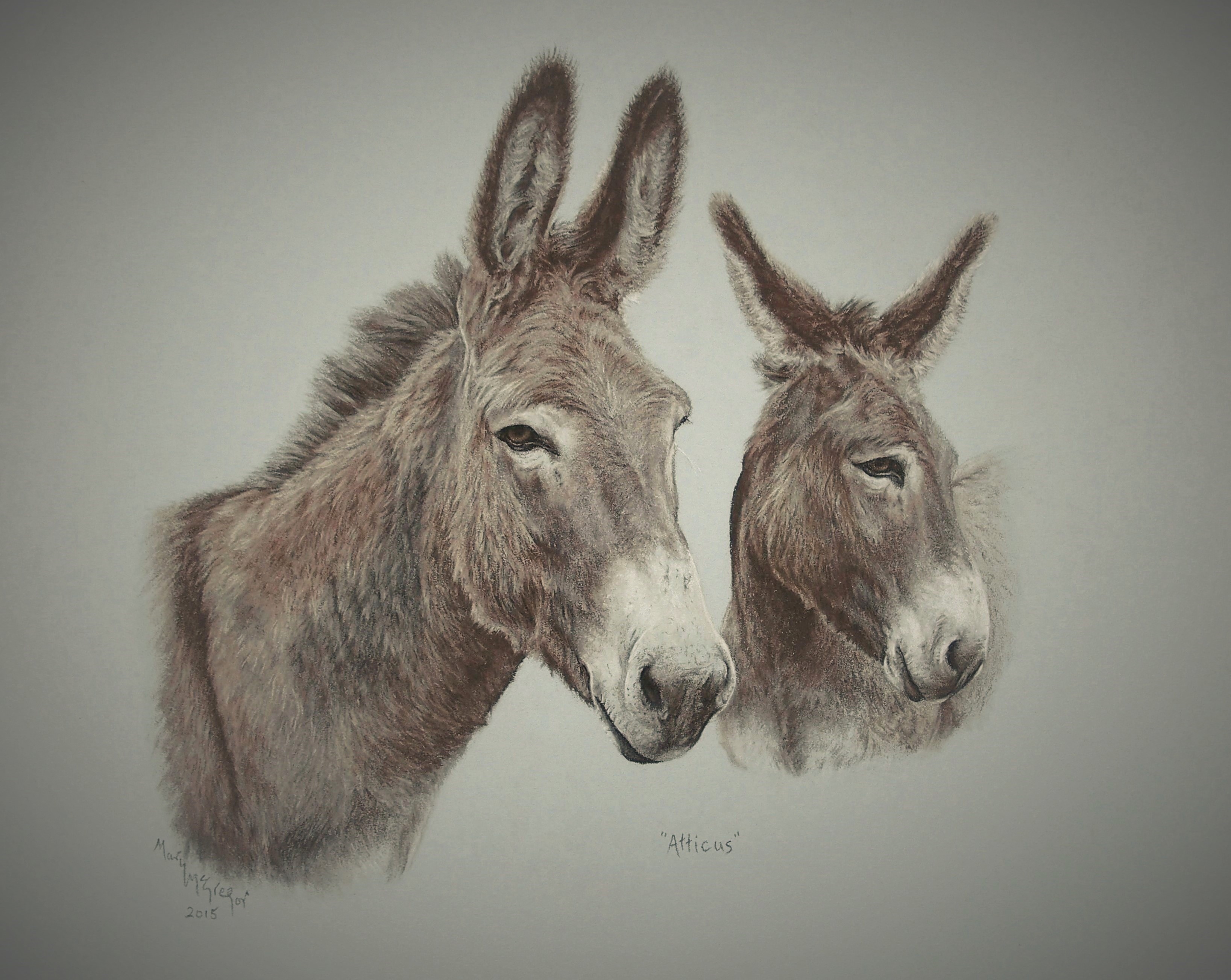 Gentle Giant, "Atticus"