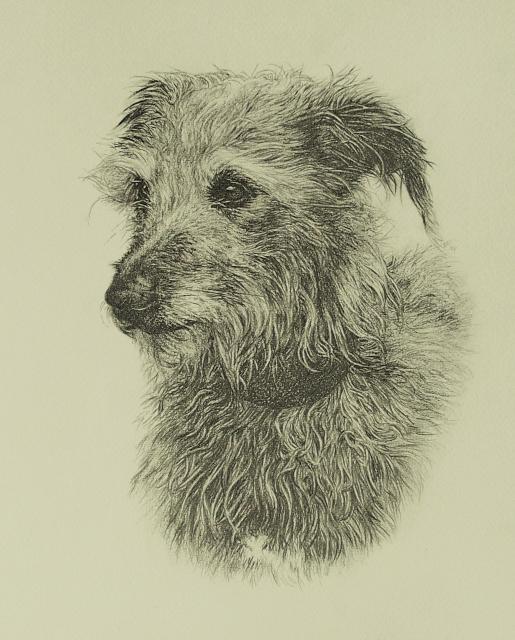 Teazel