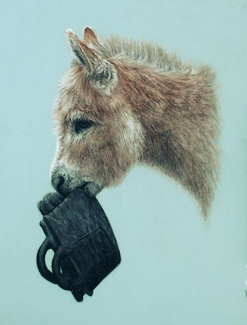 Dylan wants his dinner!