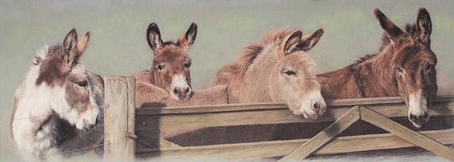 Mickey, Paddy, Charlie and Atticus