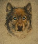 my first portrait in coloured pencils