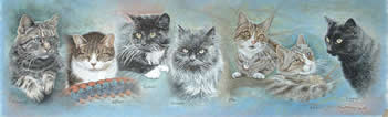 Seven Cats in pastel