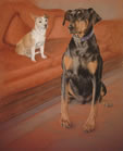 Jack Russell Terrier and Doberman in pastel