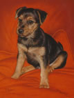 Puppy in pastel