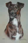 Terrier in pastel