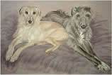Lurchers in pastel