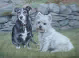 Westie and Friend in pastel
