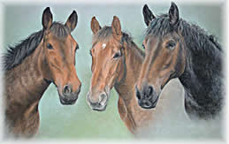 Three Horses in pastel