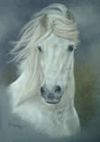 Grey Horse in pastel