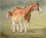 Heavy Horses in pastel