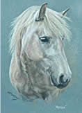 Little Pony in pastel